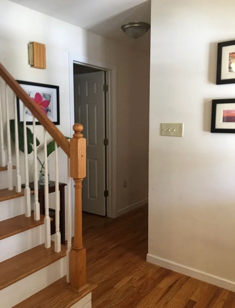 105 Clemson Ct — Photo 3