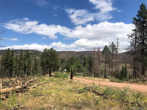 00 Richard Road, Fort Garland, CO 81133