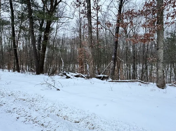 N Grand Blvd, White Cloud, MI 49349