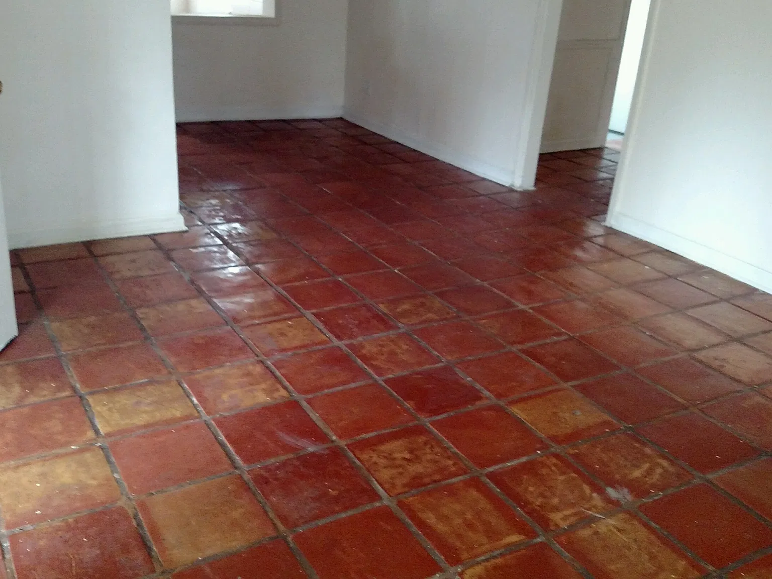 1301 Leone - 1301 — Photo 3