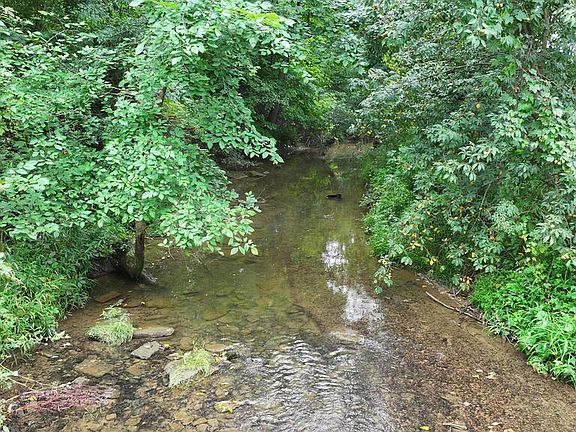 4th image of 795 Honey Creek Rd E