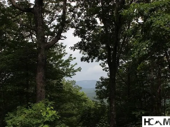 22 Whitewater Ridge Road, Sapphire, NC 28774