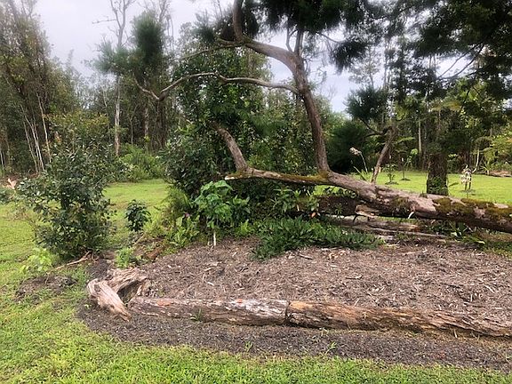 5th image of 13-1233 Malama St Lot 24