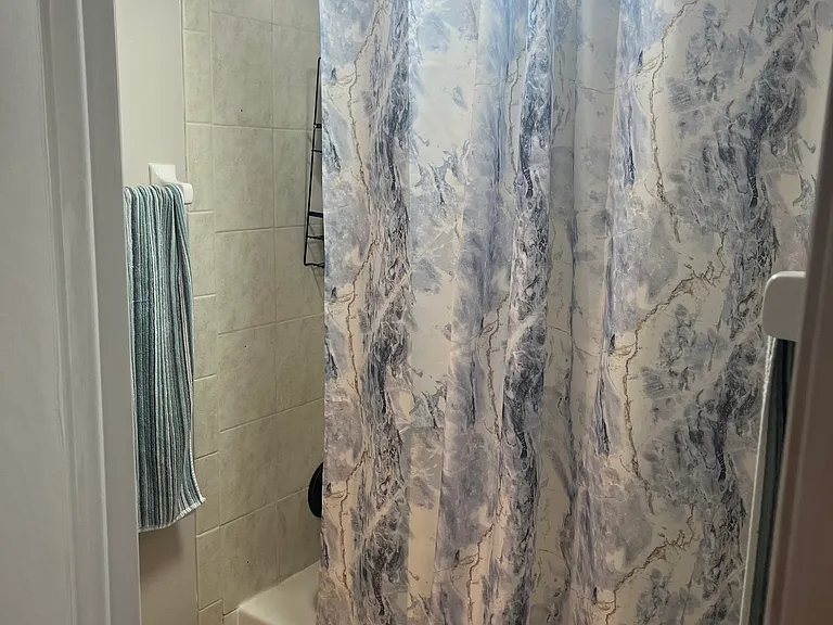 221 W 3rd Ave #3 — Photo 9