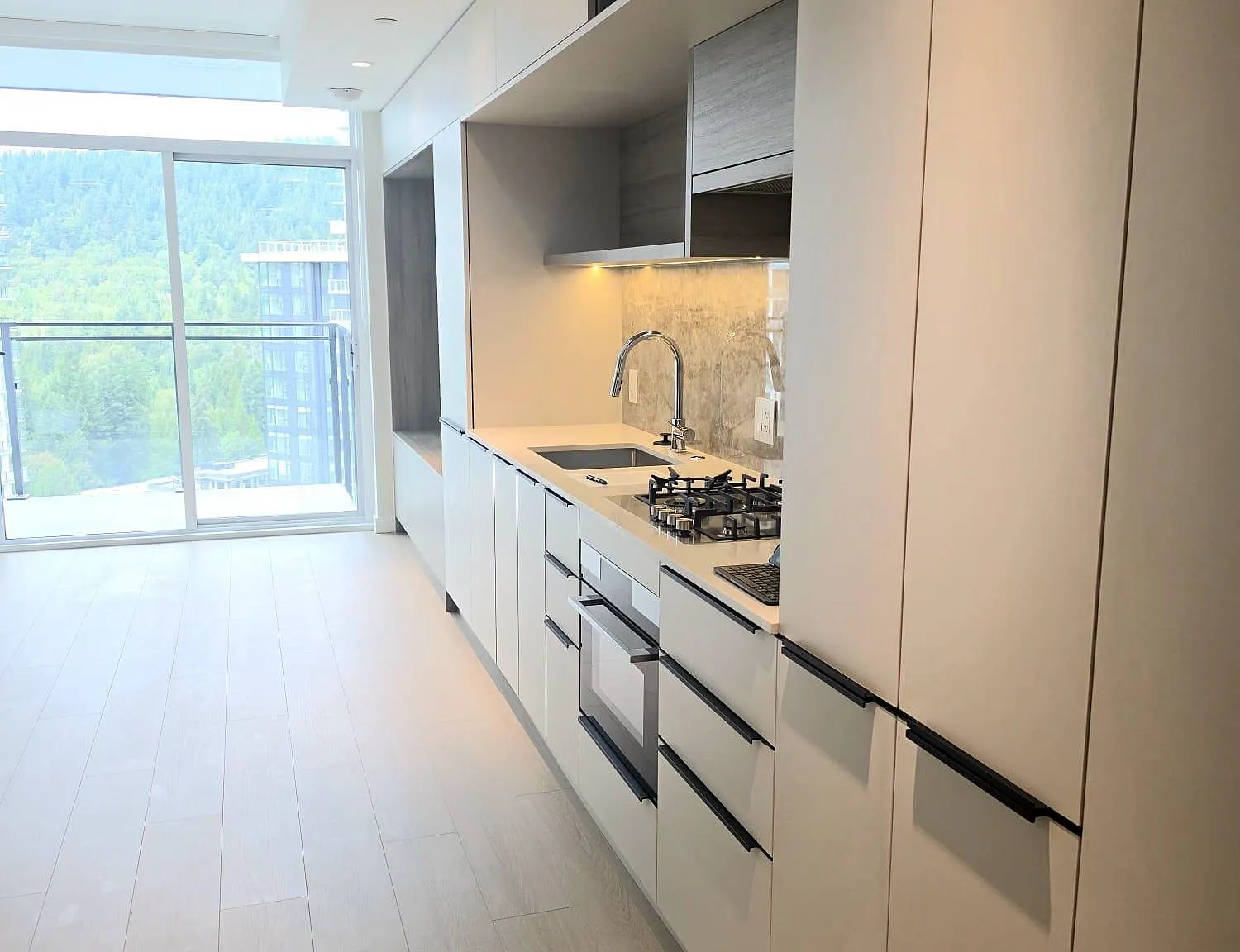 1 bed, 530 sqft, $2,400 — Photo 2
