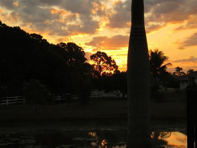 Sunrise from back patio
