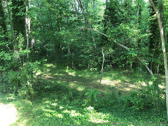 4th image of Sutphin Dr