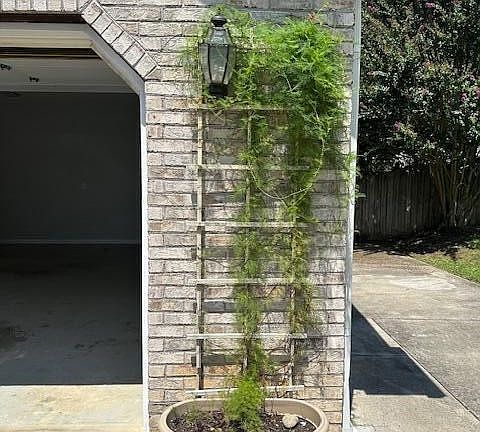 5th image of 3406 Dabert Ln