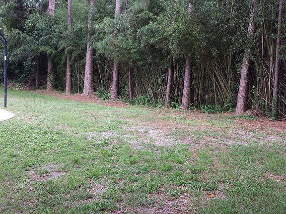 Nice Wooded Secluded BackYd