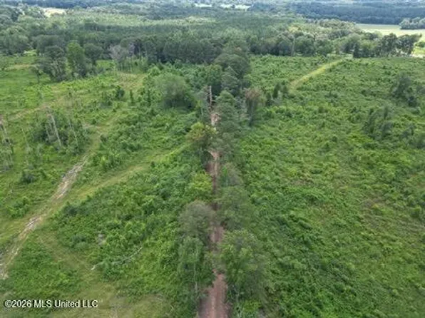 H H Buckley Rd, Mendenhall, MS 39114