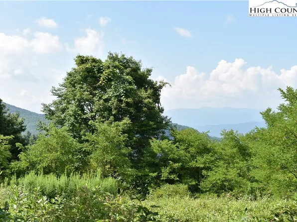 C204 Buffalo NVNO, Trade, TN 37691