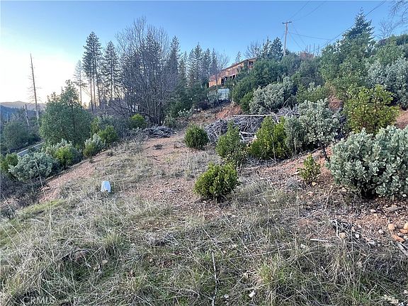 5th image of 16710 Starview Loop Rd