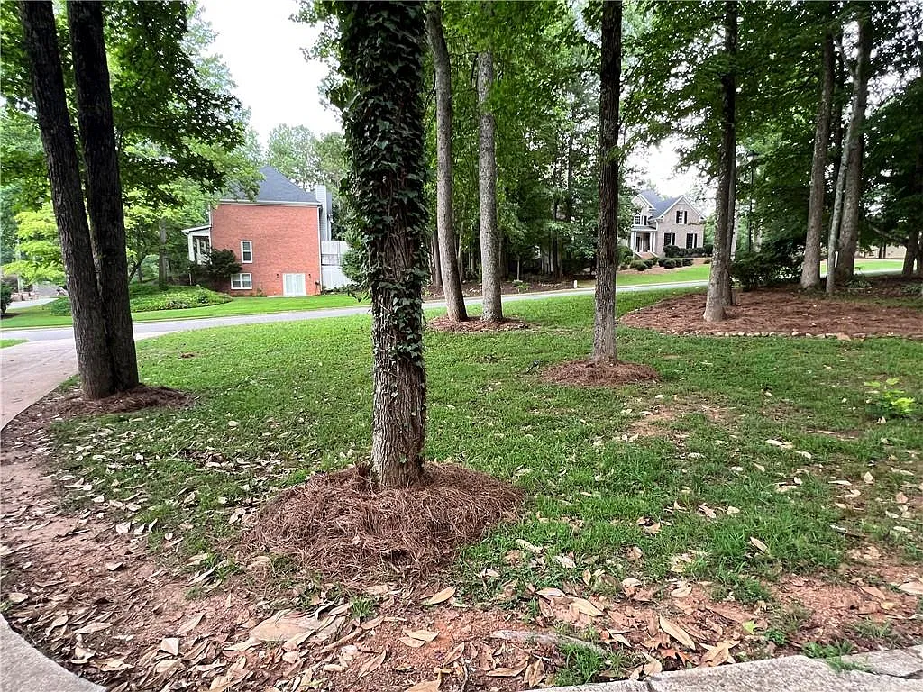 4 bed, 3.0 bath, 4542 sqft, $3,500 — Photo 4