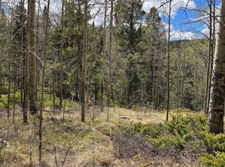 Lot 5853 Slegers Road LOT 5853, Fort Garland, CO 81133