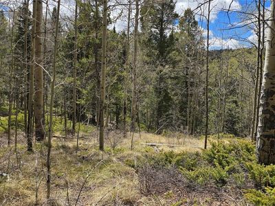Lot 5853 Slegers Road LOT 5853, Fort Garland, CO, 81133
