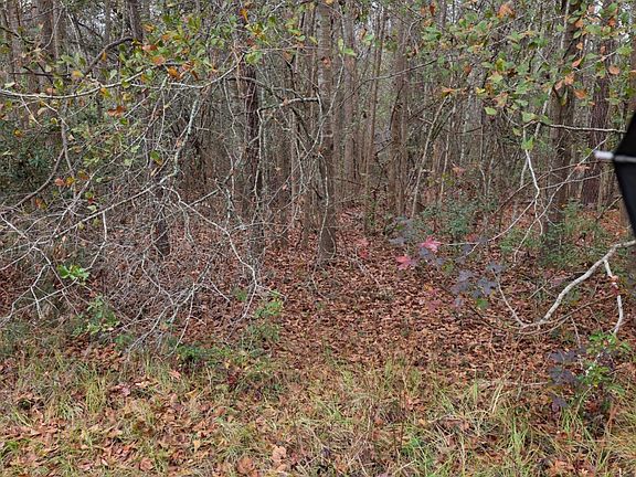 2nd image of 861 Brinson Rd