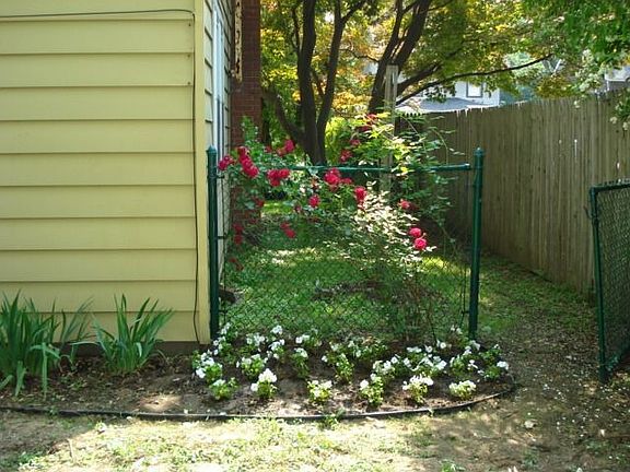 Left Side of House (view from backyard)