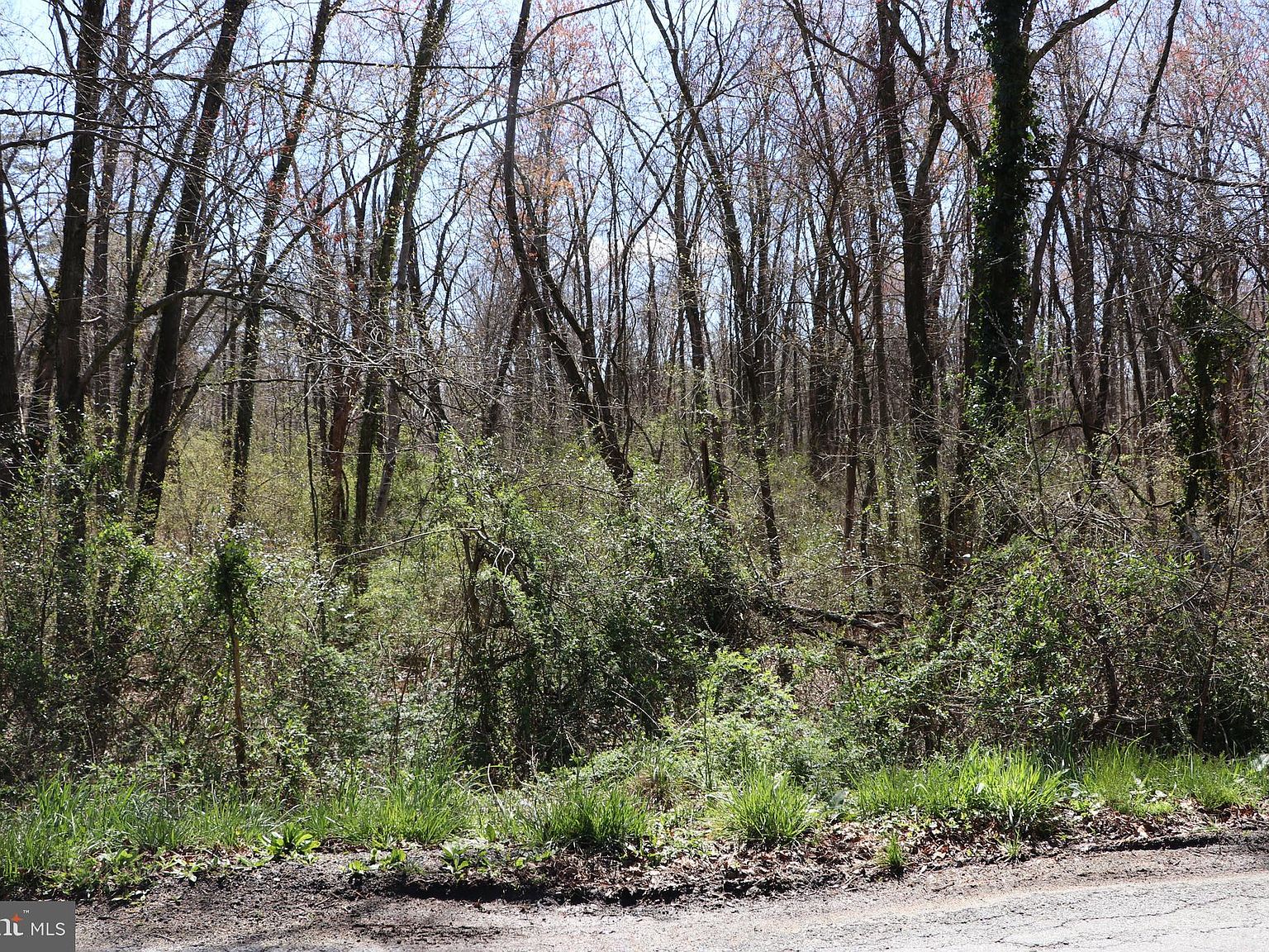 15 17 East St Gordonsville Va Mls Vaor1312 Zillow