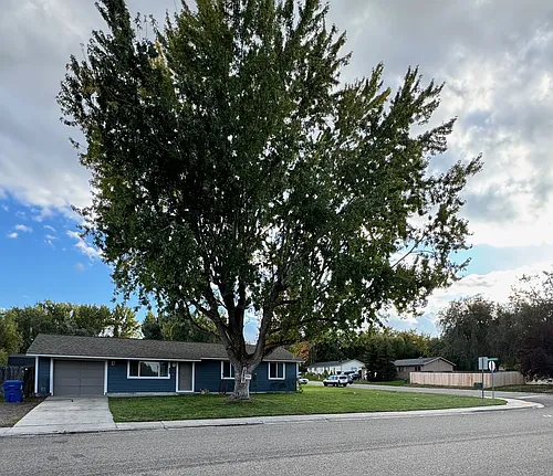 10493 W Bigwood Dr Photo 1