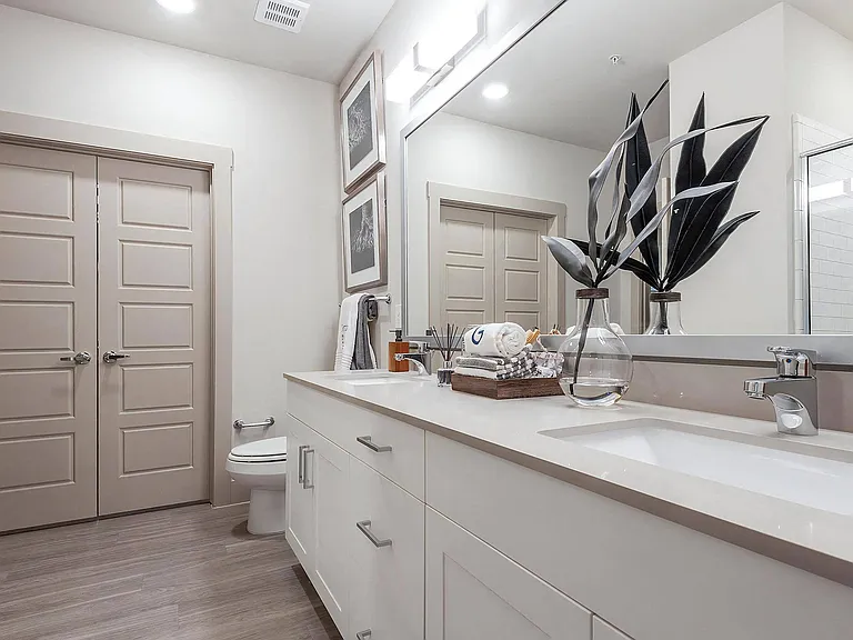 Double Sink Vanity with Sleek Fixtures and Neutral Cabinetry