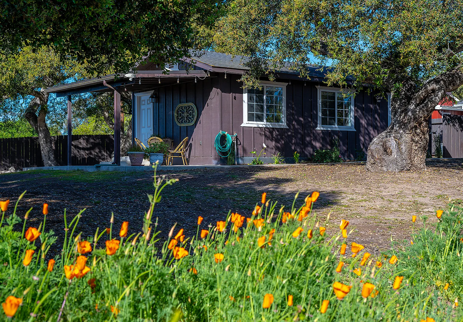 1 bed, 800 sqft, $3,120 — Photo 1