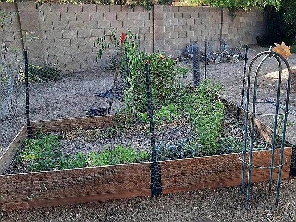 Raised garden bed with organic soil on drip system