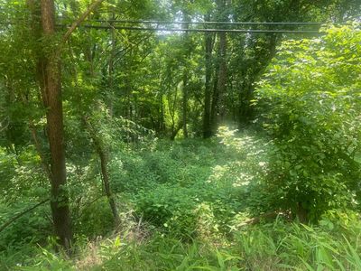 0 Turkey Creek Hwy, Carthage, TN, 37030