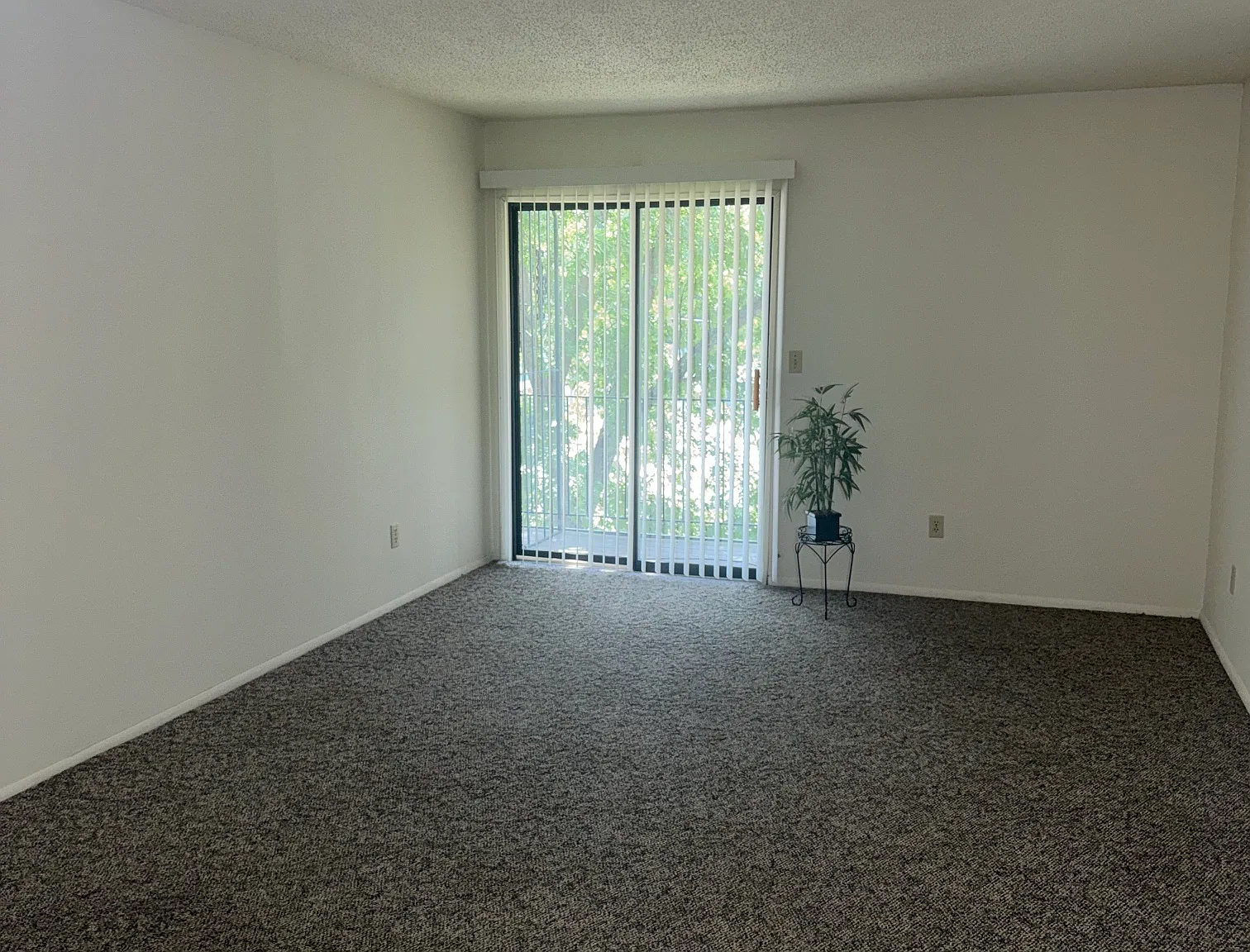 1 bed, 675 sqft, $750 — Photo 4