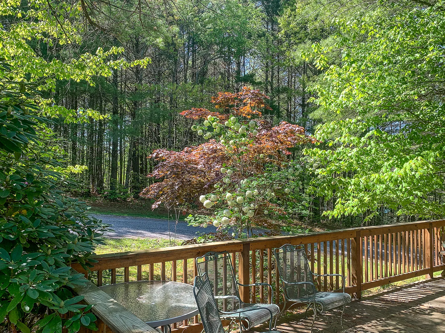 111 Laurel Oak Court - 1 — Photo 4