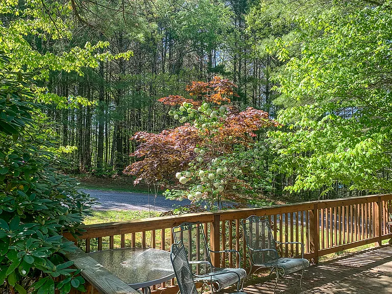 111 Laurel Oak Ct — Photo 4