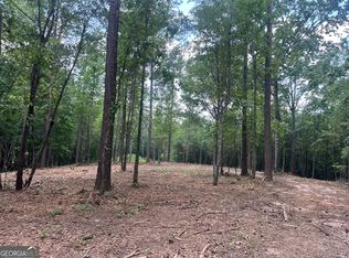 3 Gum Creek Airport Rd, Roopville, GA 30170