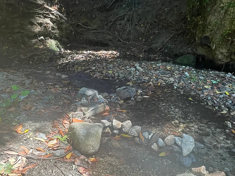 Redwood Dr — Photo 10