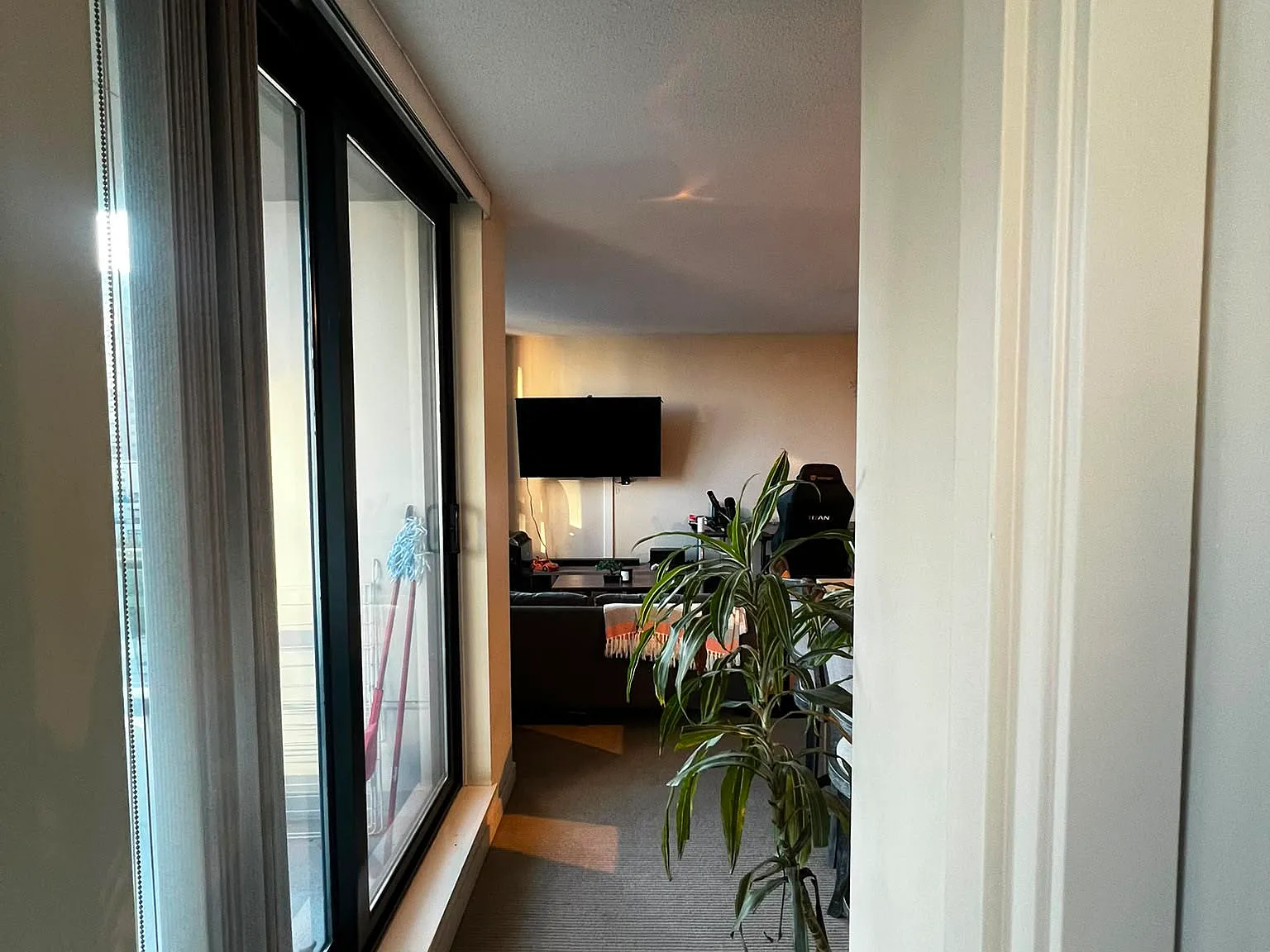 1 bed, 520 sqft, $2,500 — Photo 2