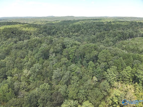 3rd image of Stanley Rd