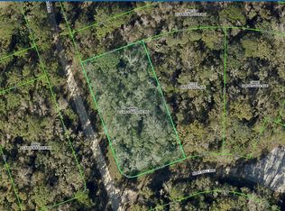 LOT 1 Carolina Dove Rd LOT 1, Brooksville, FL 34614