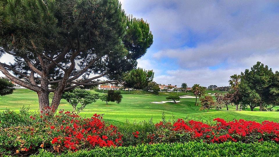 Monarch Links Golf Course