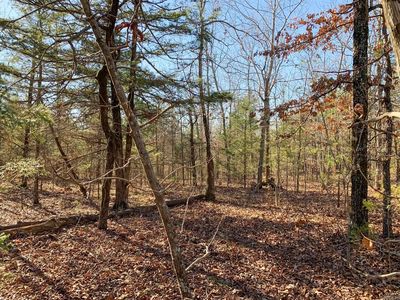 152 Odom Point Rd, Bee Branch, AR, 72013