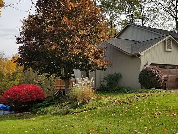 Side View