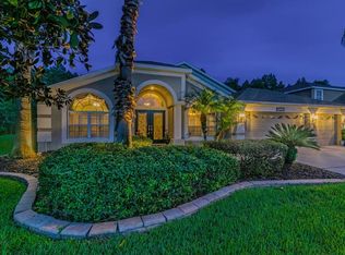 18917 Chaville Rd, Lutz, FL 33558