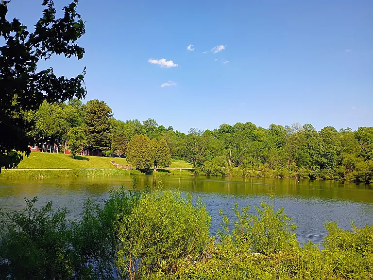 10 Deer Lk — Photo 37