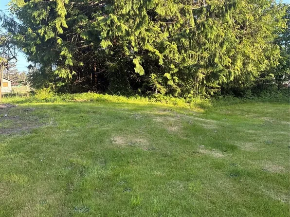 1408 256th Lot 384 Place, Ocean Park, WA 98640