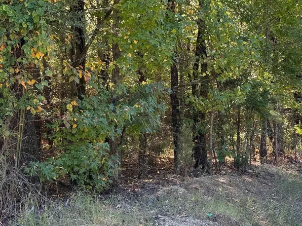 778 Green St, Paragould, AR 72450