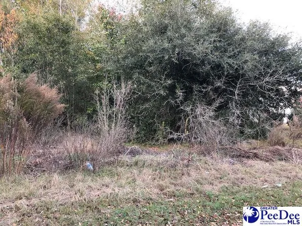 435 Sumter Ave, Hartsville, SC 29550