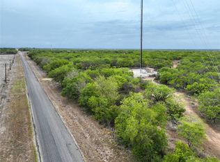1 Dead Horse Rd, Pleasanton, TX 78064