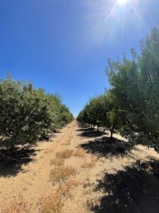 1 S Jensen Ave, Kerman, CA, 93630