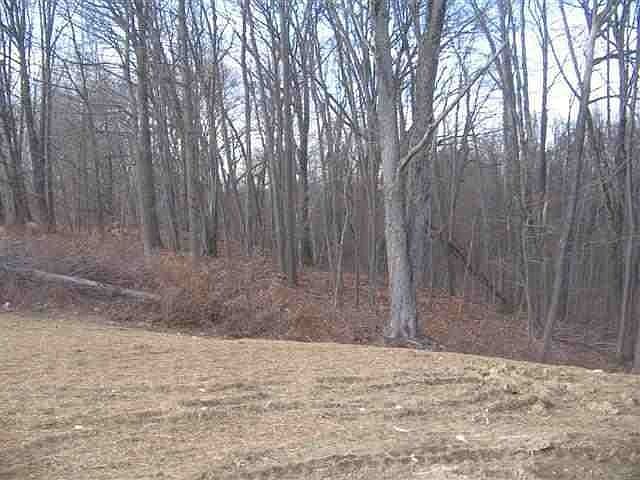 2nd image of 33 Jordan Point Dr