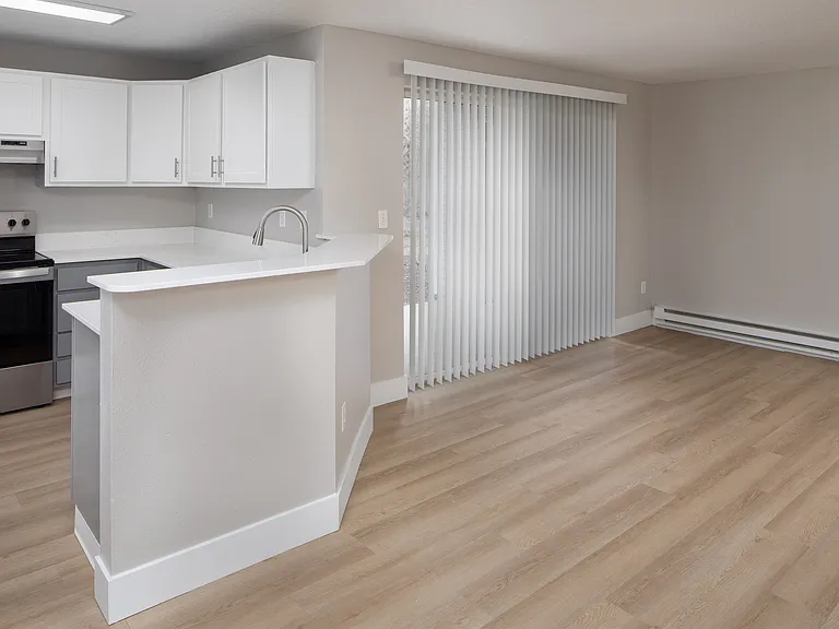 Renovated Kitchen and Living Area