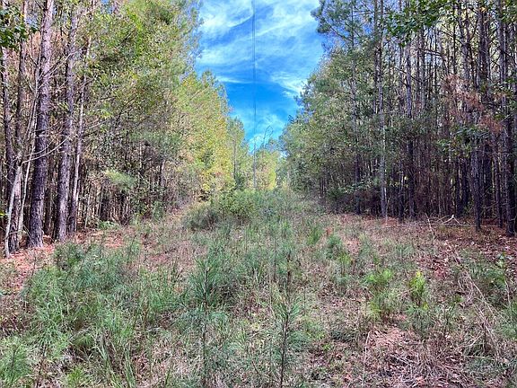 Powerline ROW Running Through Property Provides Extra Opportunity for Hunting & Viewing Whitedail Deer and Other Game