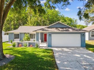 8304 Fishhawk Ave, New Port Richey, FL 34653