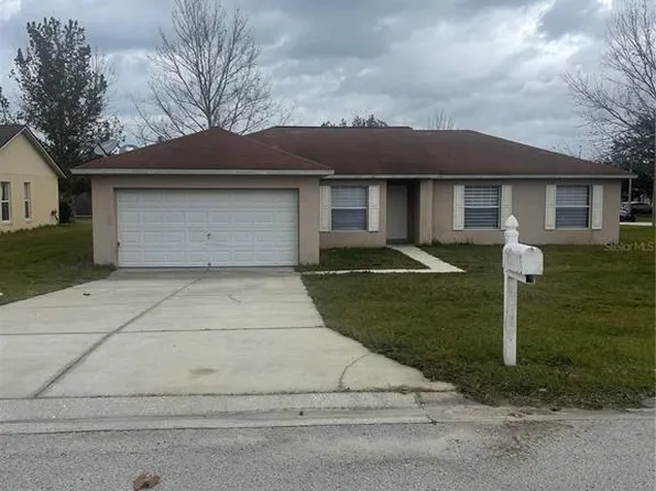 13133 Baneberry Ct, Clermont, FL 34711